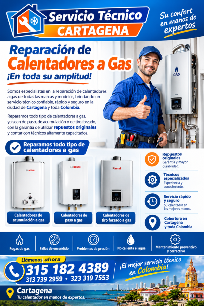 Calentadores De Paso A Gas